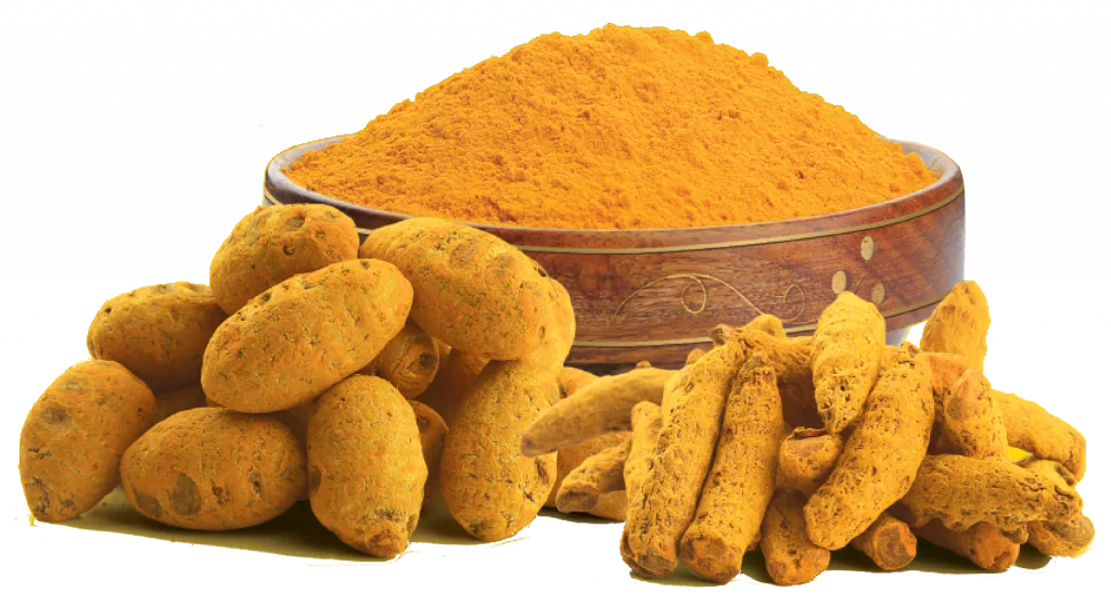 turmeric in root and powder form