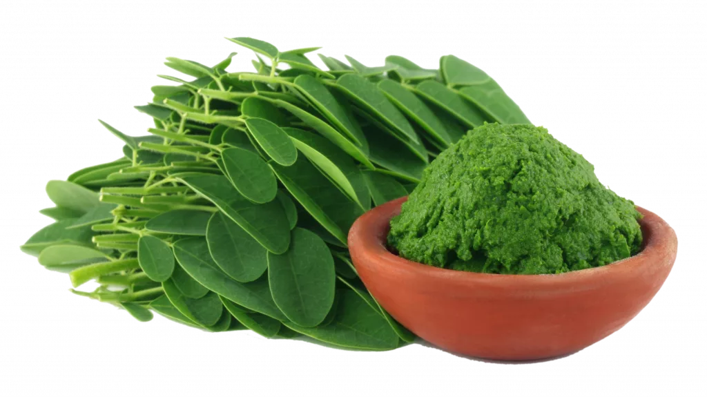 moringa leaves and in paste form