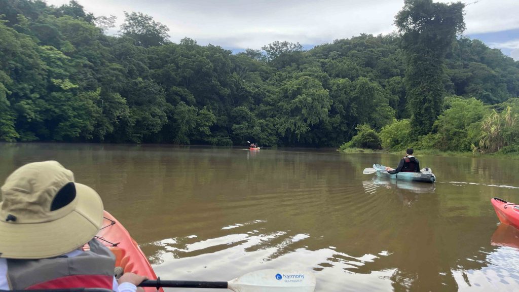 Kayakign on the calm River Ora