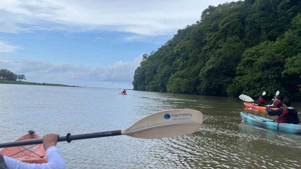 Kayakign towards the ocean