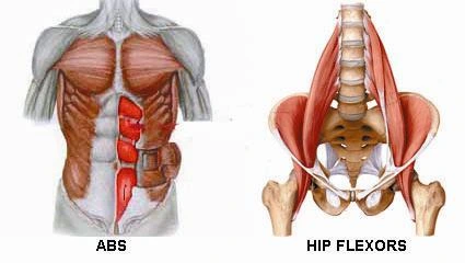 Abs and hip flexors