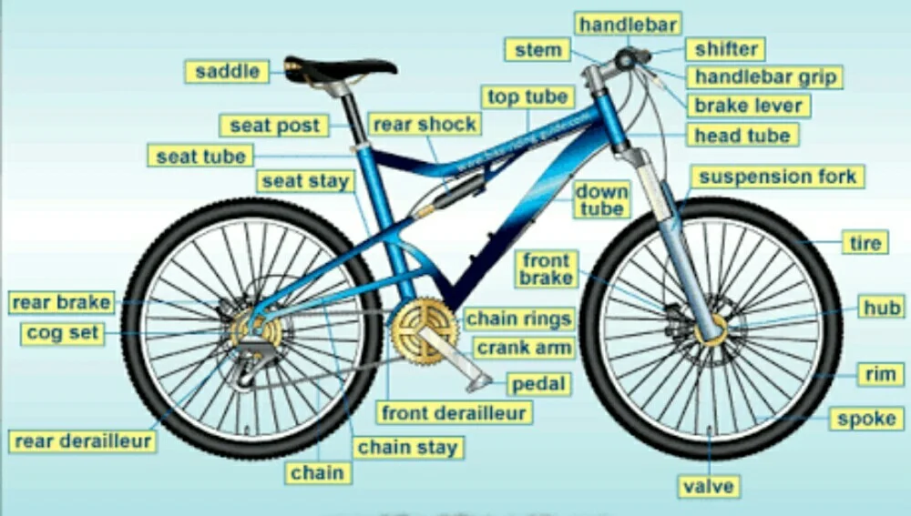Parts of a mountain bike