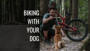 biking with your dog
