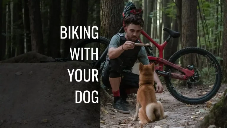 biking with your dog