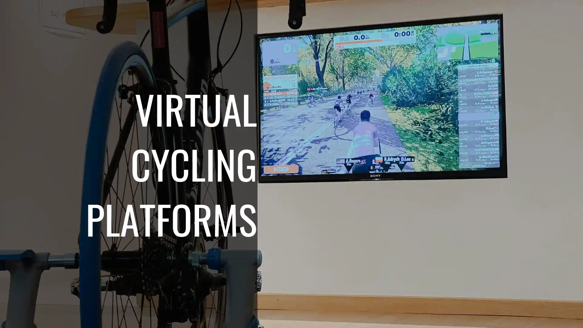 Virtual Cycling Platforms